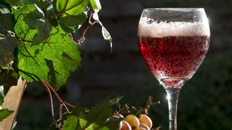 12 Best Sparkling Red Wines to Try