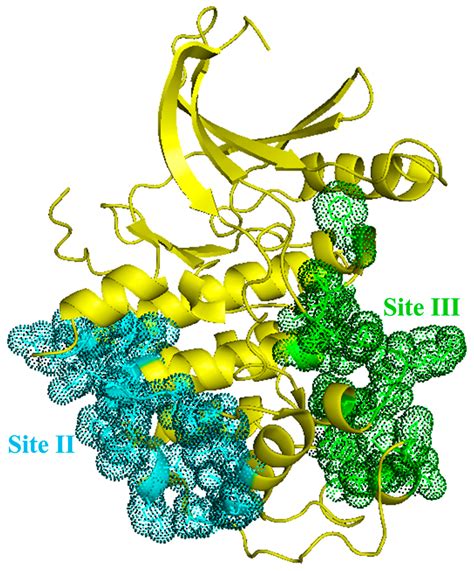 Ijms Free Full Text Insights On Structural Characteristics And