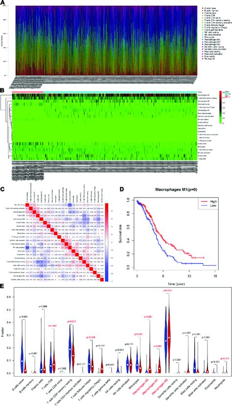 Evaluation Of Tumor Infiltrating Immune Cells Tiics A Relative Download Scientific