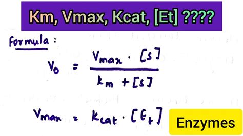 How To Claculate Michaelis Menten Rate Constant Km Michaelis Menten