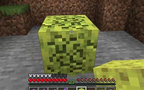 How To Get Sponges In Minecraft A Step By Step Guide How To Game