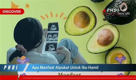 Temukan Manfaat Alpukat Untuk Ibu Hamil Yang Bikin Kamu Penasaran