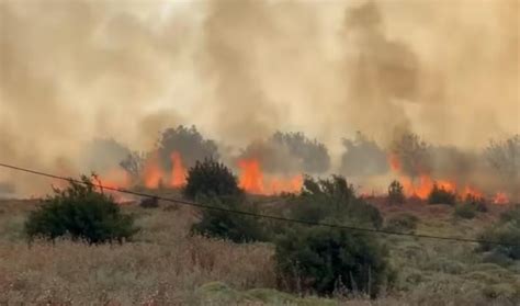 Hizbullah Pone En Peligro Instalaciones Estratégicas Israelíes Al Mayadeen Español