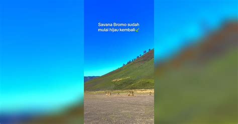 Savana Bromo Kembali Menghijau Usai Kebakaran Akibat Flare Prewedding