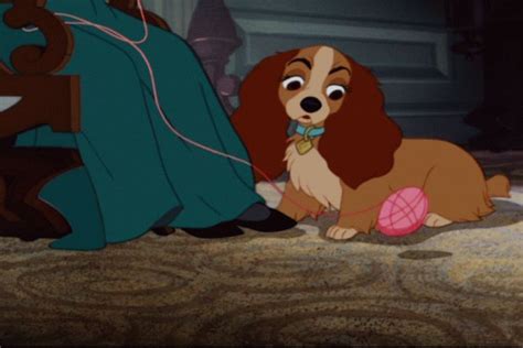 Lady And The Tramp Disney S Lady And The Tramp Image 9614402 Fanpop