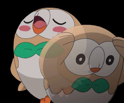 Rowlet s realization Pokémon Sun and Moon Know Your Meme