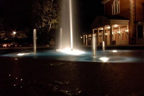 Disney Night Pictures