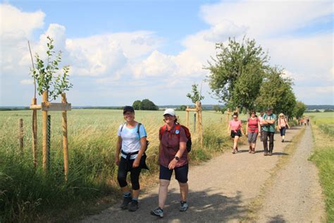 S Chsischer Wandertag In Grimma Entdeckertour Baumwege Baumwege