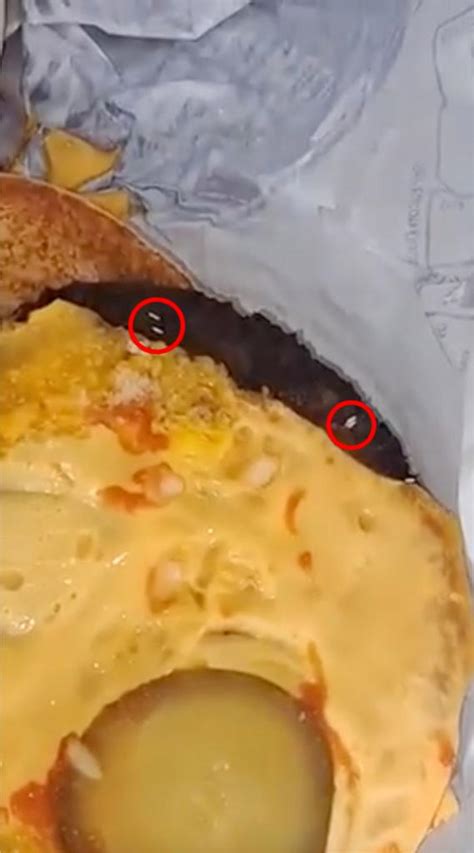 Woman Claims She Found Maggots In Mcdonalds Burger Video