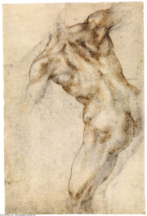 Reproductions D Art De Mus E Male Nude Seen From The Rear Recto