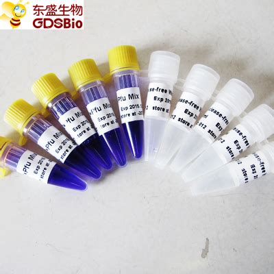 Pfu Pcr Reagent Mix Ml For Dna Rna Nucleic Acid Pcr Detection P