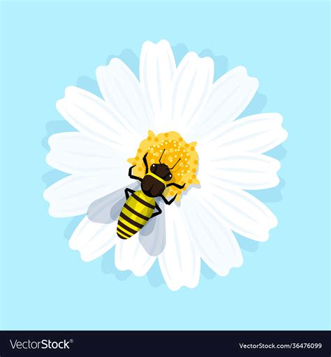 Honey Bee Is Sitting On Flower Royalty Free Vector Image