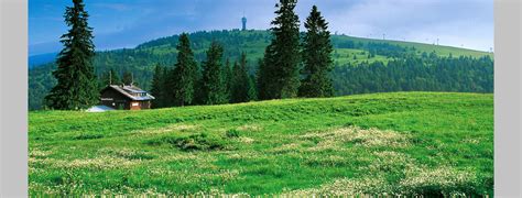 The Top Hiking Trails in Feldberg (Schwarzwald)