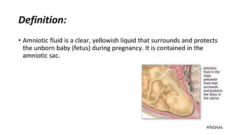amniotic fluid  pptx