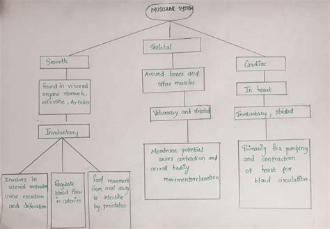 Solved Design And Submit A Concept Map On What You Have Learned It Course Hero