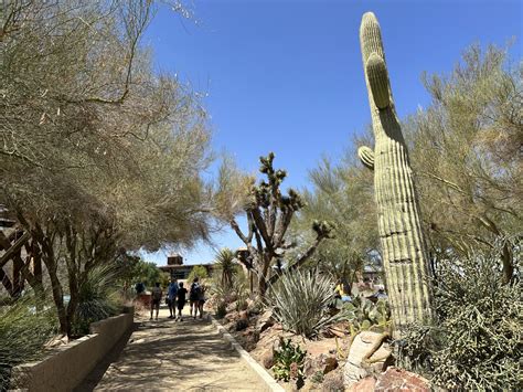 Springs Preserve Las Vegas Review Look Inside