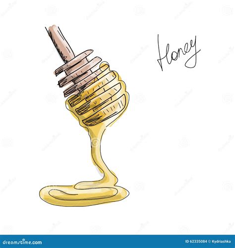 Honey Sketch For Your Design Stock Vector Illustration Of Flower