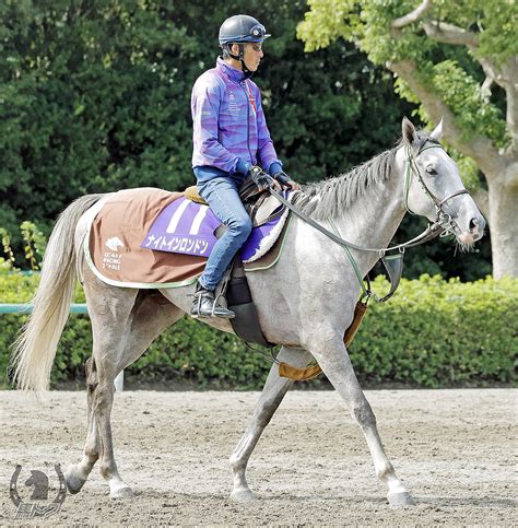 ナイトインロンドン 競走馬詳細 Umatoku 馬トク