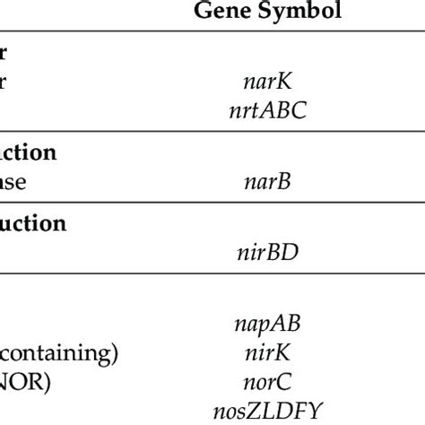 TEM Micrographs Of Unstained Whole Mount Cells Of Asinibacterium Sp