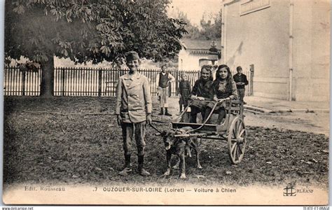 Ouzouer Sur Loire Ouzouer Sur Loire Enfants En Voiture A Chien