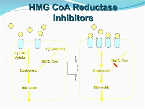 Lipid Guidelines Dr Ajay Kantharia Ppt