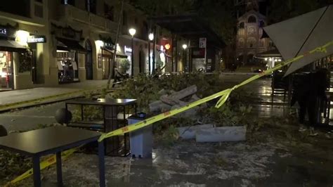 Un Menor Herido Al Caerle Un Rbol En La Avenida Gaud De Barcelona