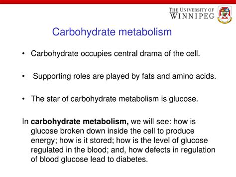 Ppt Welcome To Class Of Metabolism Dr Meera Kaur Powerpoint