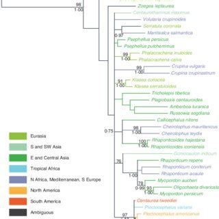 Majority Rule Consensus Tree Based On Bayesian MCMC Analysis Of The ITS