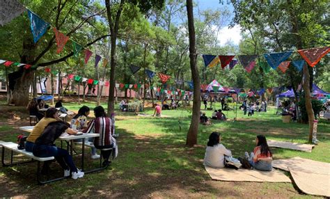 Jazz Y Diversi N Amenizaron Picnic En El Bosque Cuauht Moc