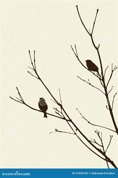 Vogels Op De Takken Vector Illustratie Illustration Of Wild