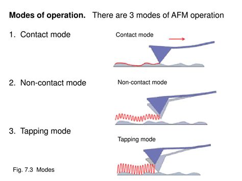 Principle Of Operation And Operation Modes In Afm A Schematics Of Images