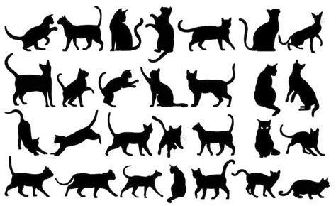 Premium Vector Cats Set Silhouette On White Background Vector