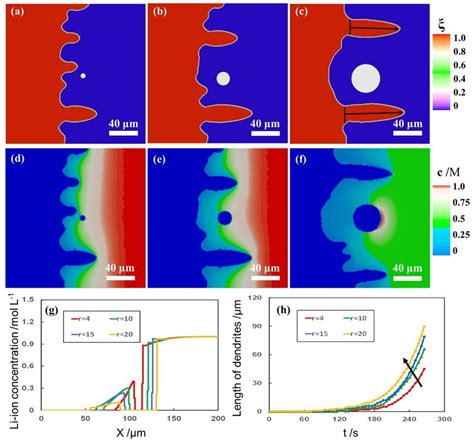 Microstructure Evolution For The Lithium Metal Anode During