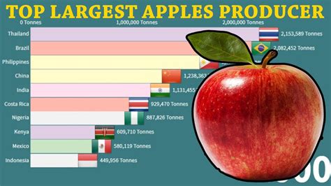 Top Largest Apples Producer Countries 1961 2020 Youtube