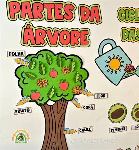 Projeto Conhecendo As Plantas Lojinha Alfaletrando Andressa Marchioti