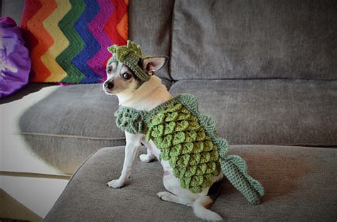 Ravelry Small Dog Dragon Costume Pattern By Stephanys Stitches