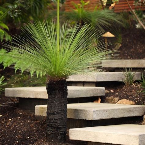 Precast Concrete Steps At Entry To Currimundii House Sunshine Coast