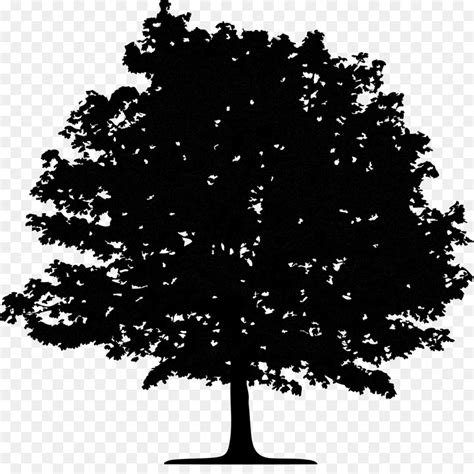 Free Oak Tree Silhouette Png, Download Free Oak Tree Silhouette Png png ...