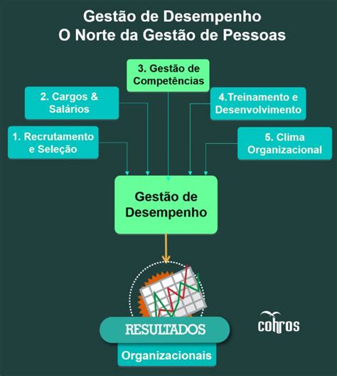 Como A Gestão De Desempenho Orienta As Práticas De Gestão De Pessoas