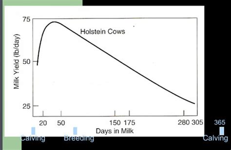 Ans Dairy Selection Flashcards Quizlet