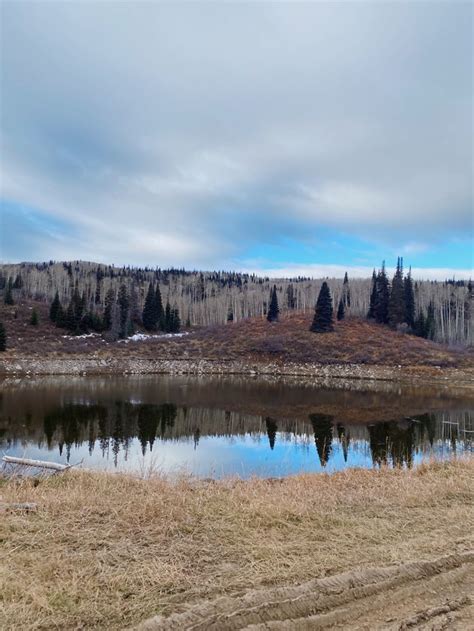 Elk hunt in Colorado in 2022 | Elk hunting colorado, Natural landmarks ...