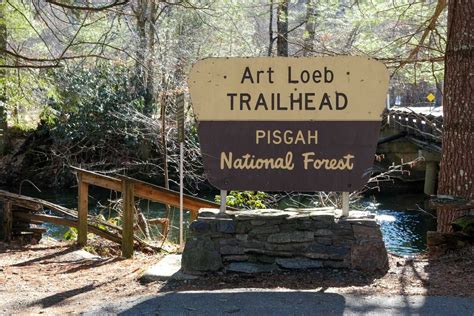 Pisgah National Forest Camping: 5 Fun Things to do & More