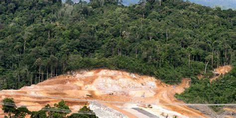 Uu Minerba Baru Makin Ancam Hutan Lindung Dan Konservasi