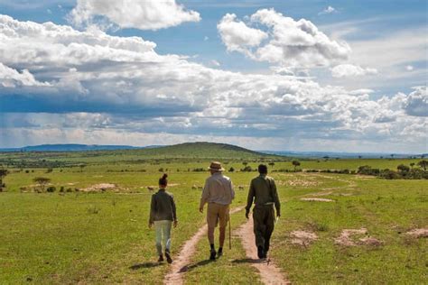 Walking Safaris And Bush Walks In Maasai Mara National Reserve Kenya