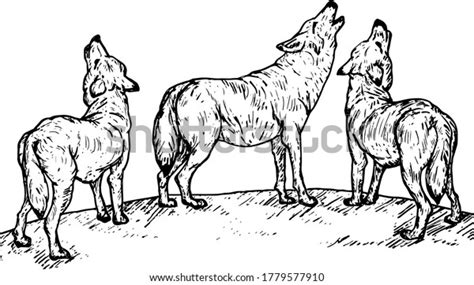 Wolf Pack Howling Into Sky Hand Stock Vector (Royalty Free) 1779577910 ...