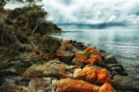 Natural Wonders To See In Tasmania Earth S Attractions Travel