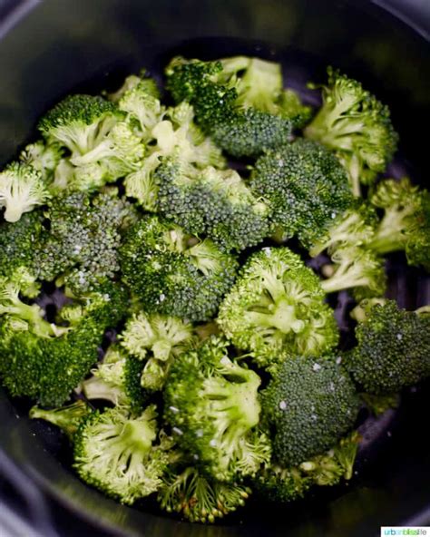 Air Fryer Broccoli Ninja Foodi Urban Bliss Life