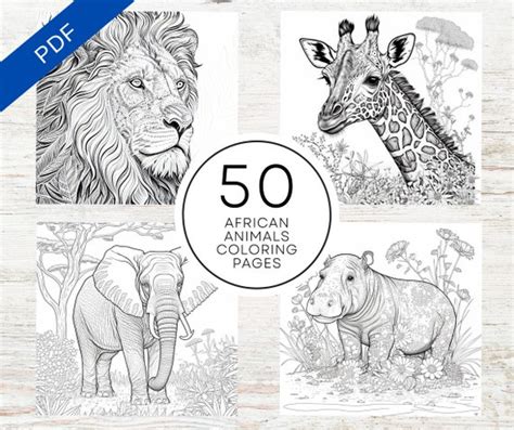 African Animal Book Coloring Pages