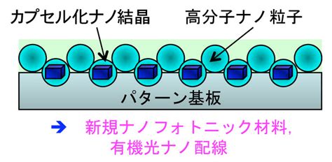 研究シーズ詳細情報（no66） 高機能光材料を目指した有機・高分子ハイブリッドナノ結晶の創成 東北大学研究シーズ集