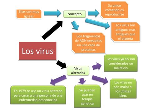 ORGANIZADOR DE BACTERIAS Y VIRUS